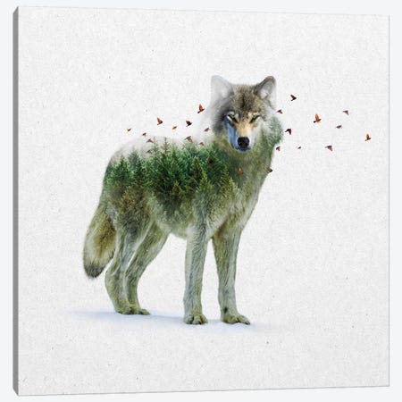 Double Exposure - Wolf Canvas Print #SOA22} by Soaring Anchor Designs Canvas Art