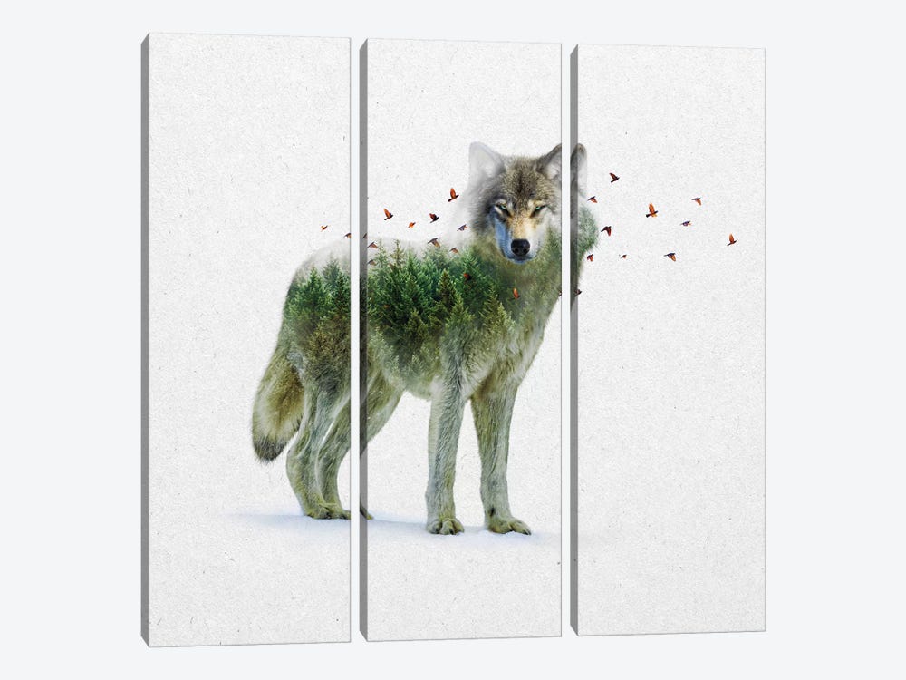 Double Exposure - Wolf by Soaring Anchor Designs 3-piece Canvas Wall Art