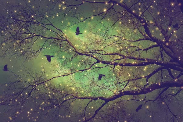 Night Sky: Dusk Meets Dawn Tree Silo by Soaring Anchor Designs