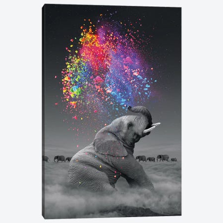 Elephant - Color Explosion Canvas Print #SOA27} by Soaring Anchor Designs Canvas Print