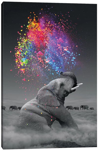 Elephant - Color Explosion Canvas Art Print - Large Colorful Accents