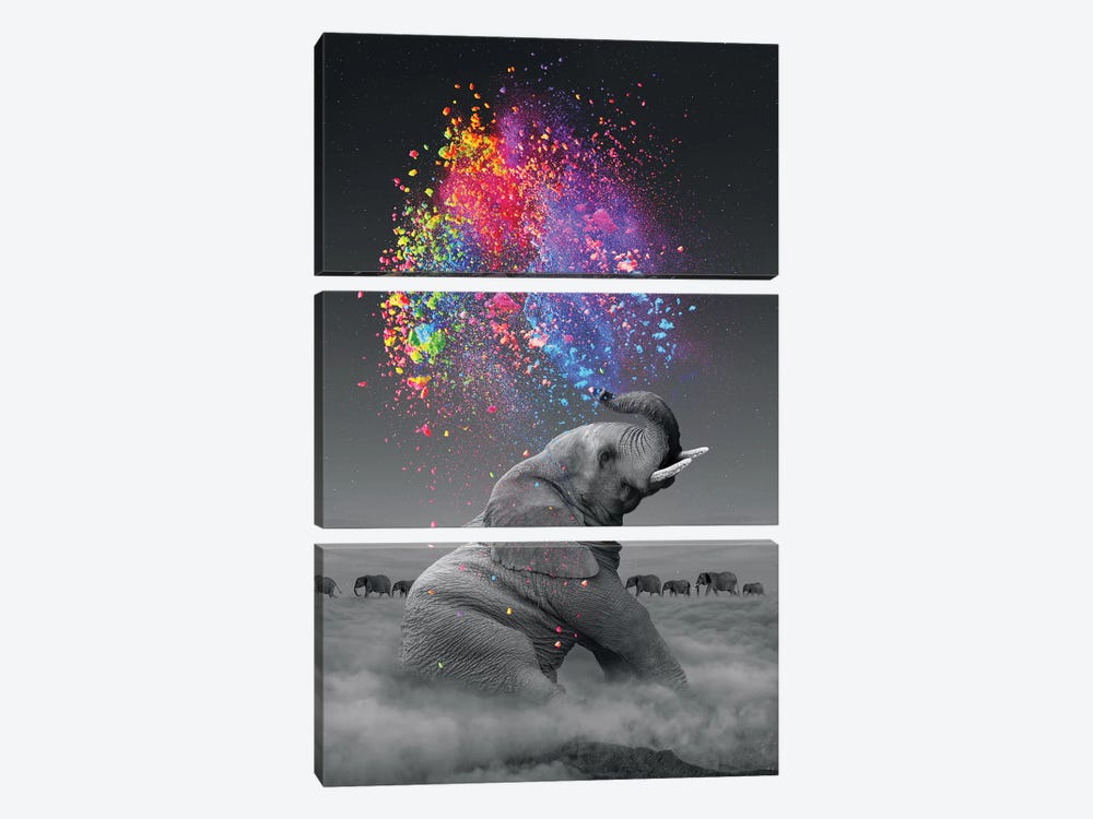 Elephant - Color Explosion 3-piece Art Print