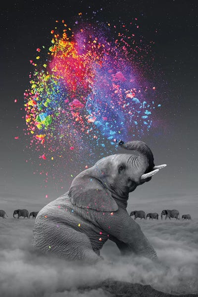 Kids Inspirational Art: Elephant - Color Explosion by Soaring Anchor Designs