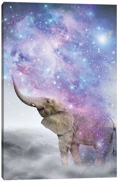 Elephant - Dust Galaxy Canvas Art Print - Kids Bathroom Art