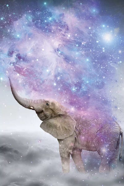 Kids Inspirational Art: Elephant - Dust Galaxy by Soaring Anchor Designs