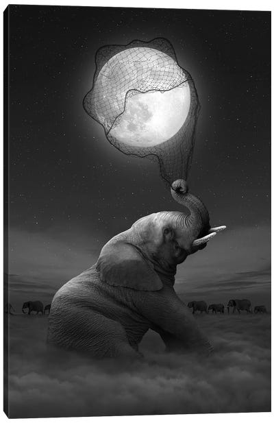 Elephant - Moon Catcher Canvas Art Print - Imagination Art
