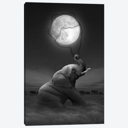 Elephant - Moon Catcher Canvas Print #SOA29} by Soaring Anchor Designs Canvas Artwork