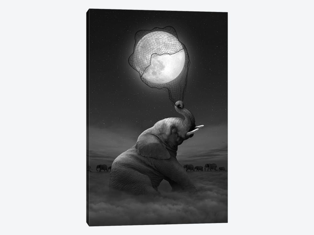 Elephant - Moon Catcher by Soaring Anchor Designs 1-piece Canvas Print
