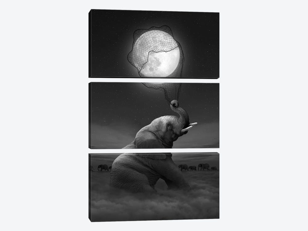 Elephant - Moon Catcher by Soaring Anchor Designs 3-piece Art Print