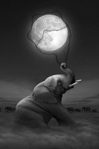 Imagination: Elephant - Moon Catcher by Soaring Anchor Designs