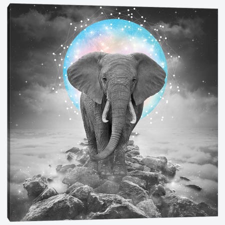Elephant - On Rocks Color Moon Canvas Print #SOA30} by Soaring Anchor Designs Canvas Art Print