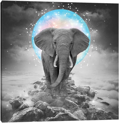 Elephant - On Rocks Color Moon Canvas Art Print - Elephant Art