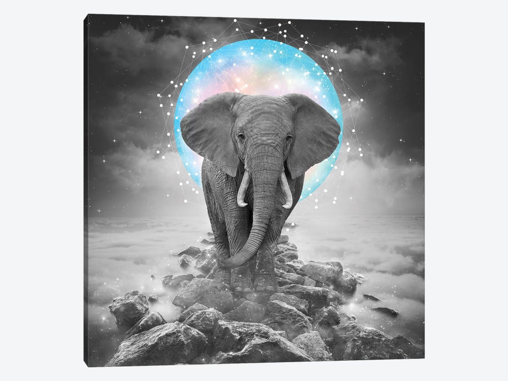 Elephant - On Rocks Color Moon by Soaring Anchor Designs 1-piece Canvas Print