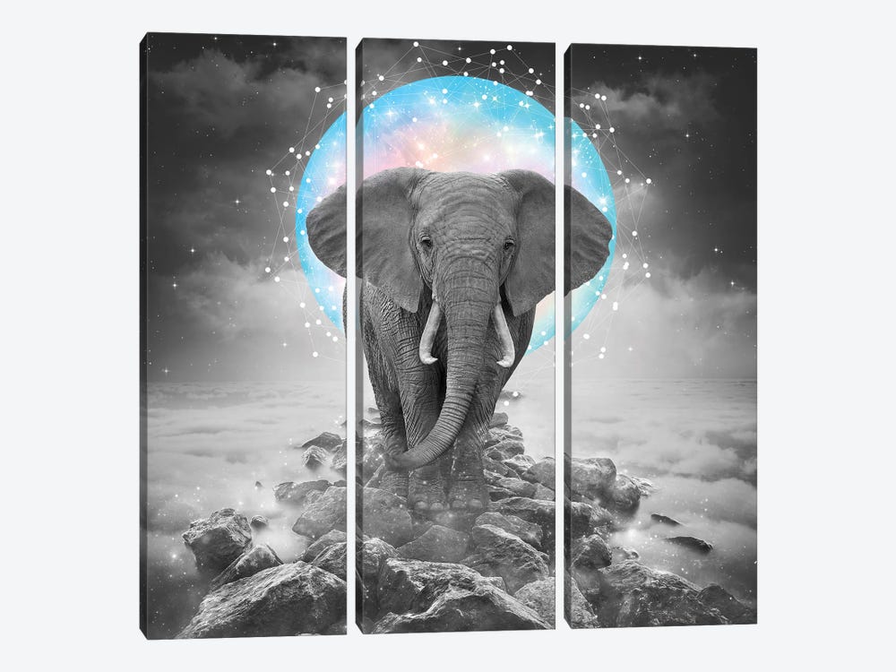 Elephant - On Rocks Color Moon by Soaring Anchor Designs 3-piece Canvas Print