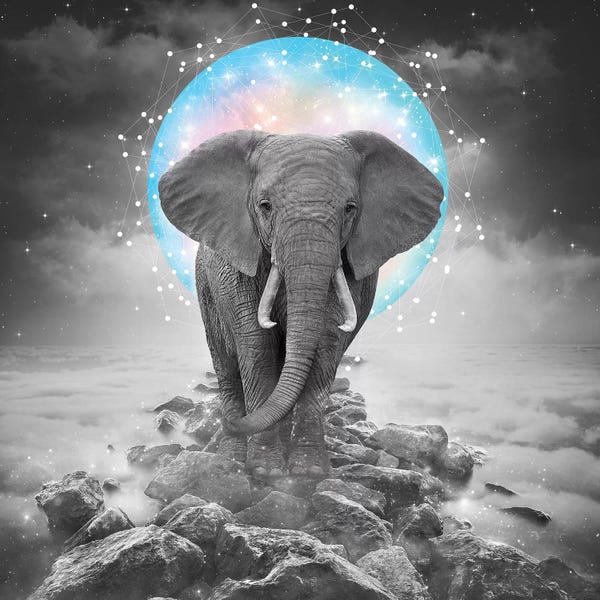 Kids Inspirational Art: Elephant - On Rocks Color Moon by Soaring Anchor Designs