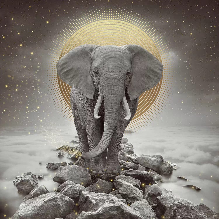 Elephant - On Rocks Stay Gold