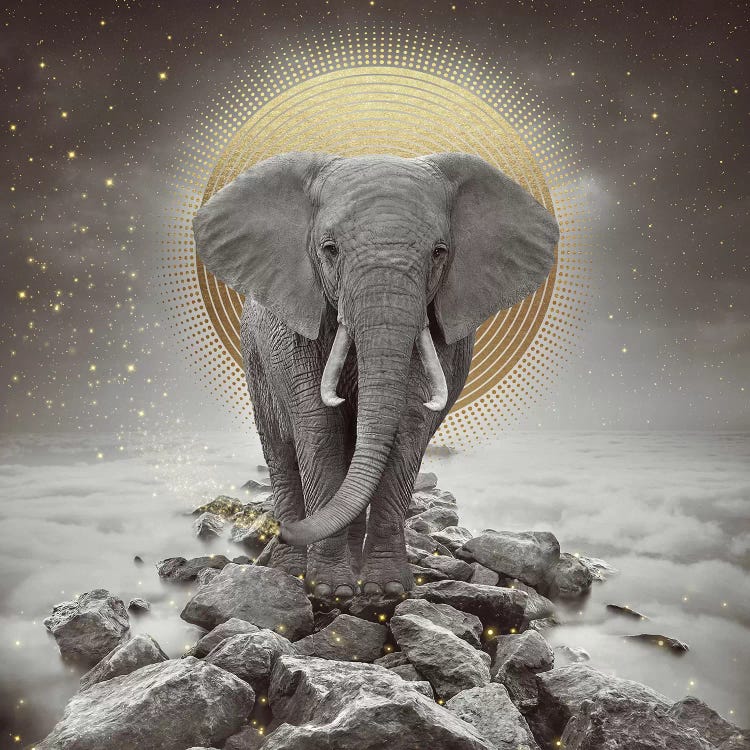 Elephant - On Rocks Stay Gold by Soaring Anchor Designs wall art