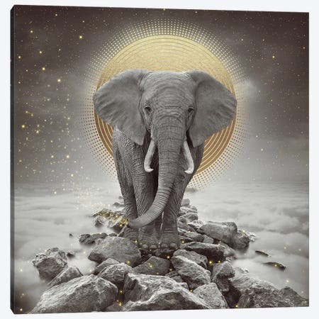Elephant - On Rocks Stay Gold Canvas Print #SOA31} by Soaring Anchor Designs Canvas Print