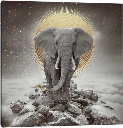 Elephant - On Rocks Stay Gold Canvas Art Print - Elephant Art