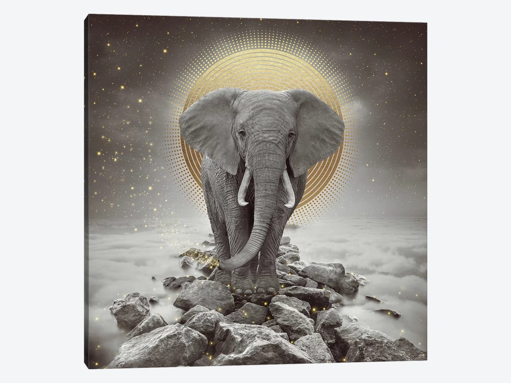 Elephant - On Rocks Stay Gold 1-piece Canvas Art