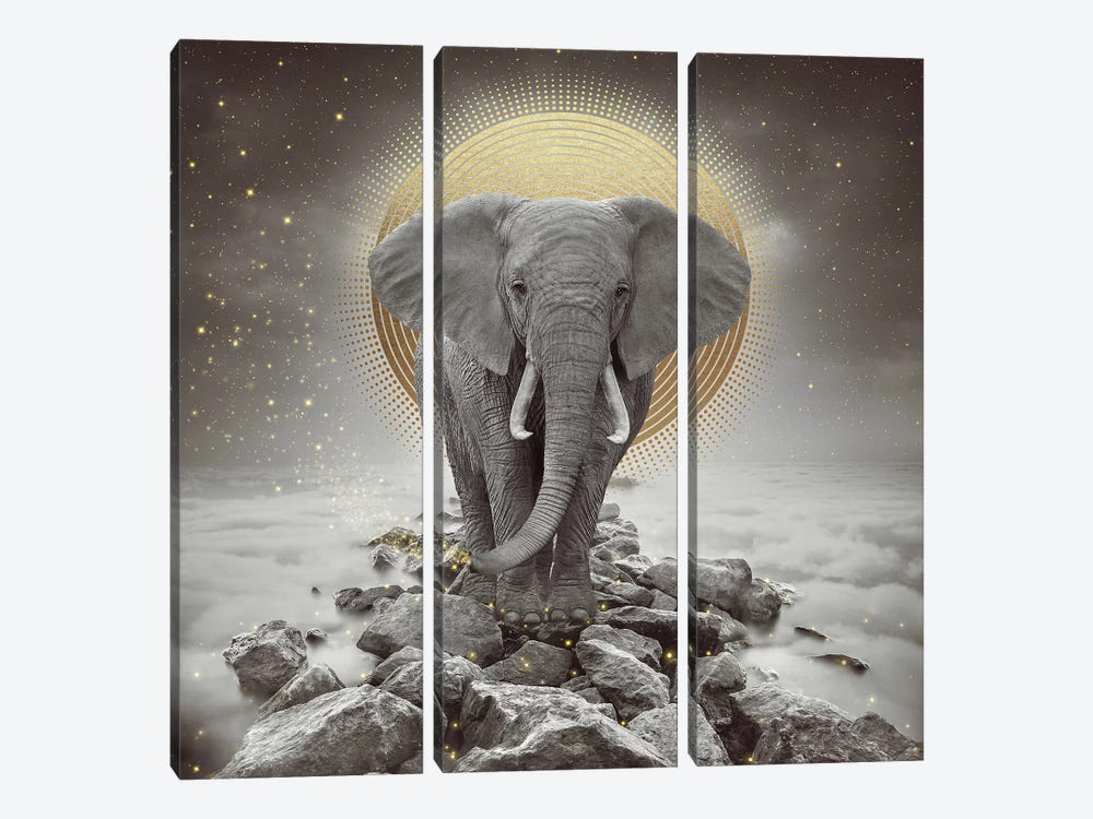 Elephant - On Rocks Stay Gold by Soaring Anchor Designs 3-piece Canvas Wall Art