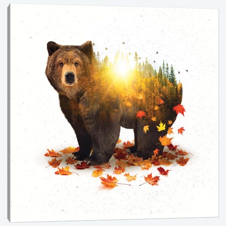 Equinox - Bear Canvas Print #SOA32} by Soaring Anchor Designs Art Print