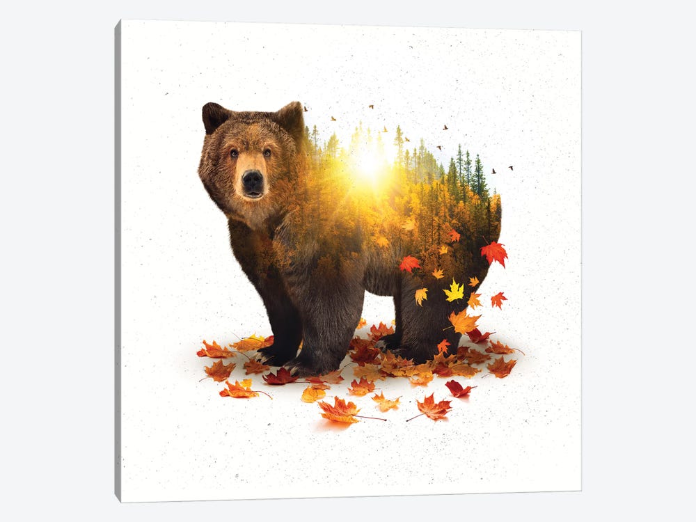 Equinox - Bear by Soaring Anchor Designs 1-piece Art Print