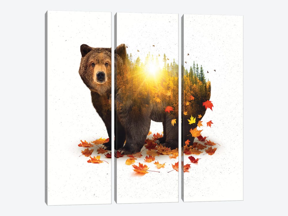 Equinox - Bear by Soaring Anchor Designs 3-piece Art Print