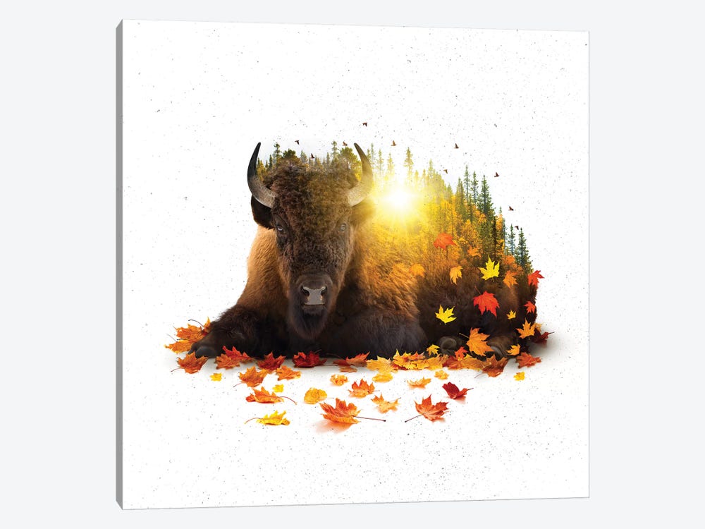Equinox - Buffalo by Soaring Anchor Designs 1-piece Canvas Art