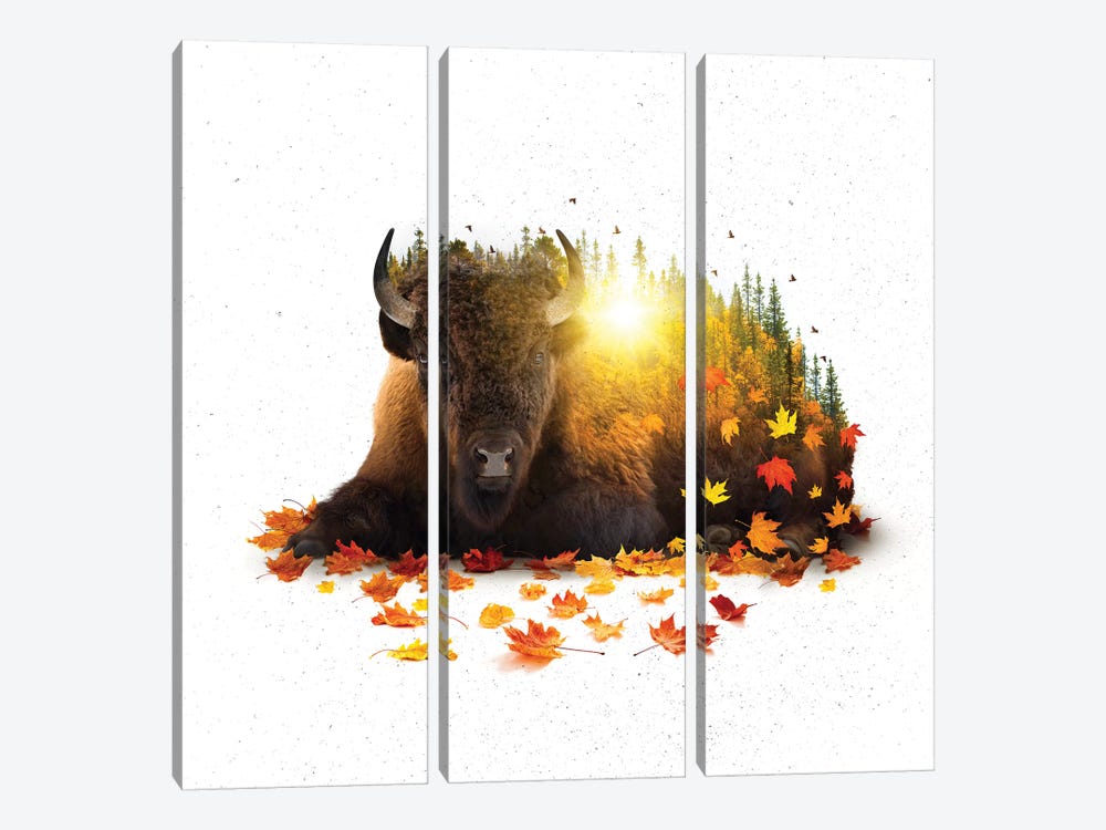 Equinox - Buffalo by Soaring Anchor Designs 3-piece Canvas Wall Art