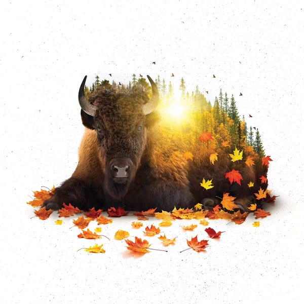 Bison & Buffaloes: Equinox - Buffalo by Soaring Anchor Designs