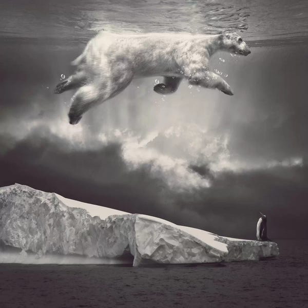 Inspirational Office: Fernweh - Polar Bear Sky  by Soaring Anchor Designs