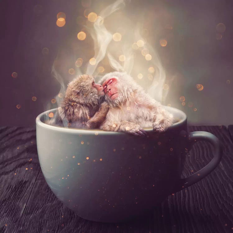 Hygge - Macaque by Soaring Anchor Designs canvas print