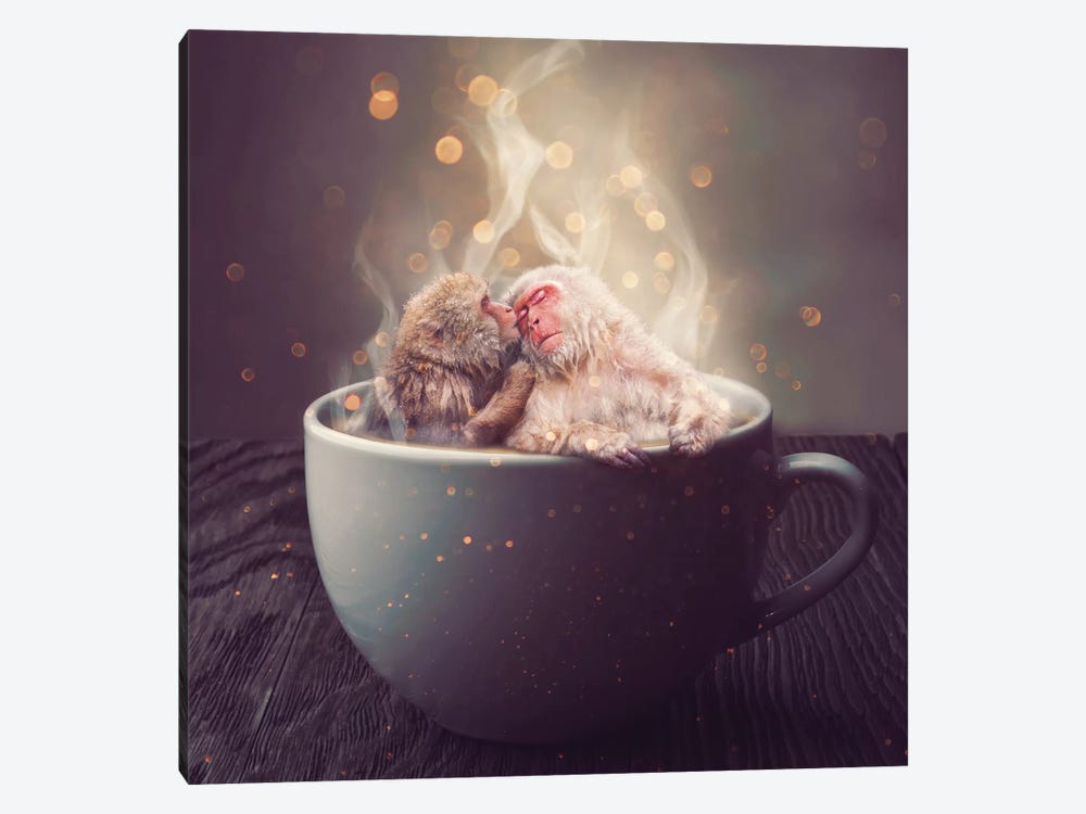 Hygge - Macaque by Soaring Anchor Designs 1-piece Canvas Wall Art