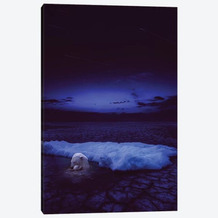 If Not Us - Polar Bear Canvas Print #SOA38} by Soaring Anchor Designs Canvas Art Print