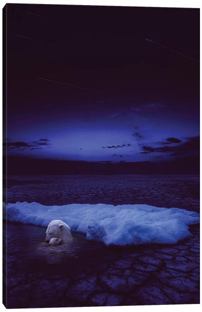 If Not Us - Polar Bear Canvas Art Print - Indigo Art