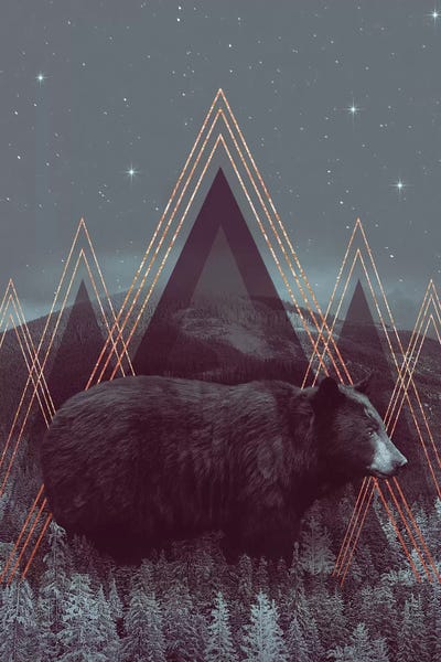 In Wildness - Bear  by Soaring Anchor Designs multi panel art