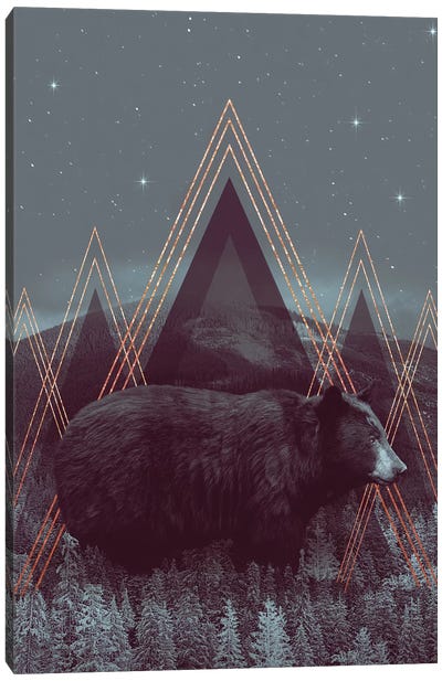 In Wildness - Bear  Canvas Art Print - Gold Art