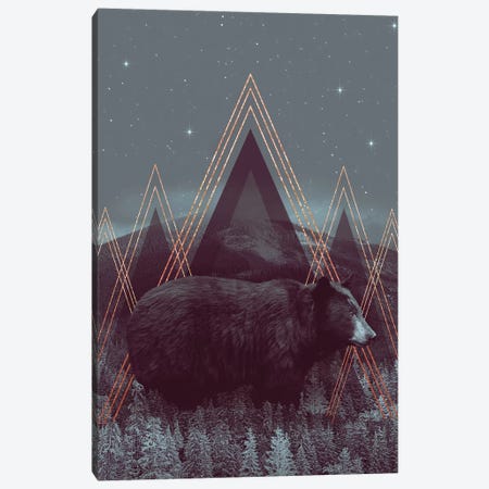 In Wildness - Bear  Canvas Print #SOA40} by Soaring Anchor Designs Canvas Artwork
