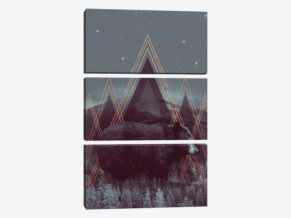 In Wildness - Bear  by Soaring Anchor Designs 3-piece Canvas Artwork