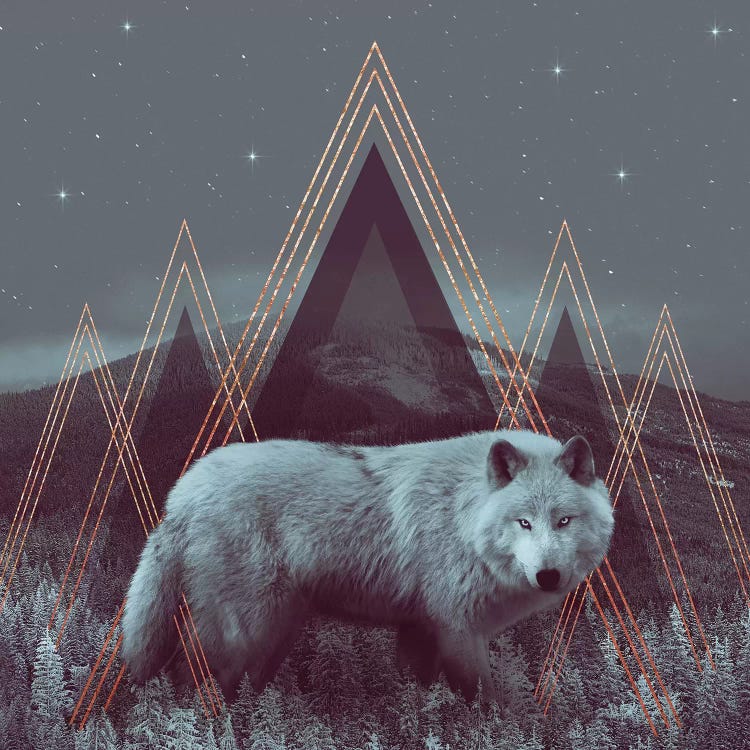 In Wildness - Wolf I