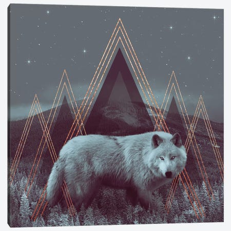 In Wildness - Wolf I Canvas Print #SOA41} by Soaring Anchor Designs Canvas Art