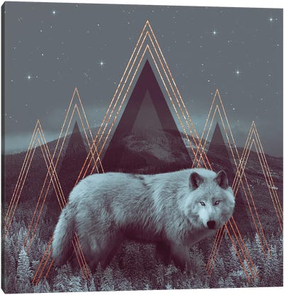 In Wildness - Wolf I Canvas Art Print - Soaring Anchor Designs
