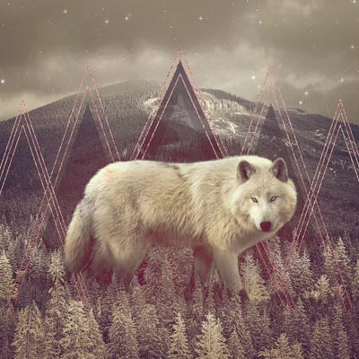 In Wildness - Wolf II by Soaring Anchor Designs framed wall art