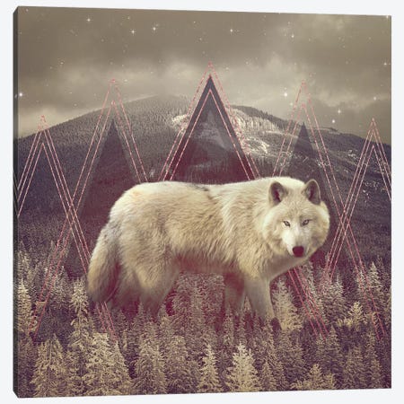 In Wildness - Wolf II Canvas Print #SOA42} by Soaring Anchor Designs Canvas Art