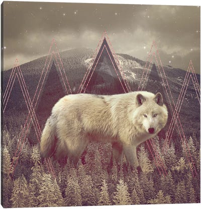 In Wildness - Wolf II Canvas Art Print - Soaring Anchor Designs
