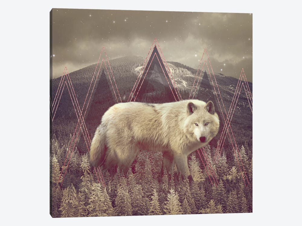 In Wildness - Wolf II by Soaring Anchor Designs 1-piece Canvas Artwork