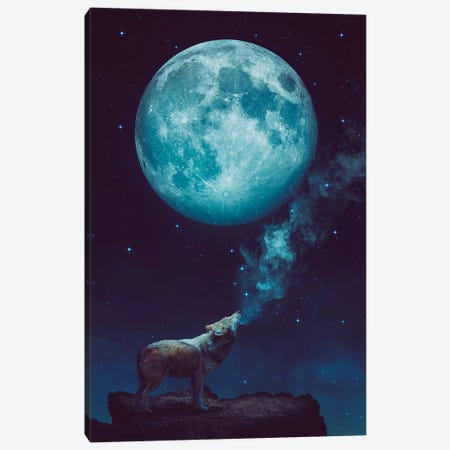 Lone Wolf Howl - Night Canvas Print #SOA45} by Soaring Anchor Designs Art Print