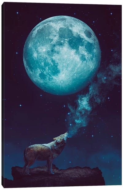 Lone Wolf Howl - Night Canvas Art Print - Imagination Art