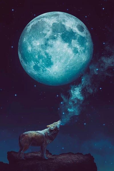 Imagination: Lone Wolf Howl - Night by Soaring Anchor Designs